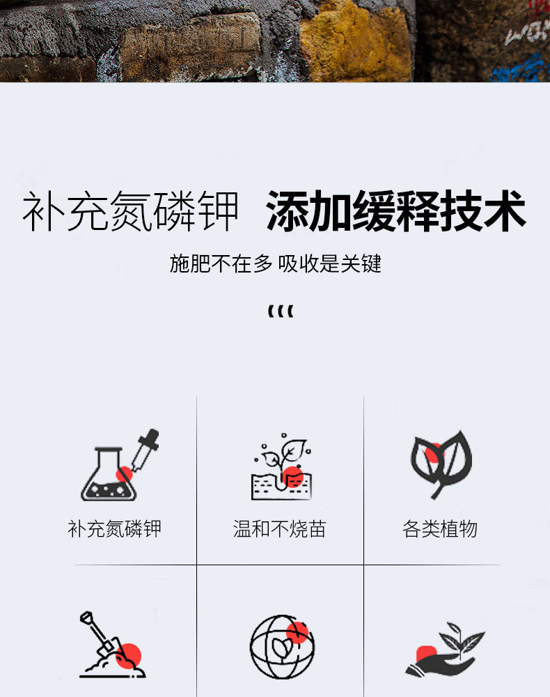 图片[2]-家庭园艺缓释营颗粒肥-喜悦农夫
