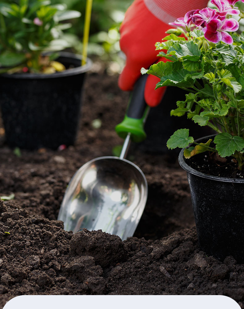 图片[6]-家庭园艺缓释营颗粒肥-喜悦农夫