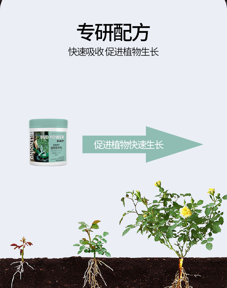 图片[7]-家庭园艺缓释营颗粒肥-喜悦农夫