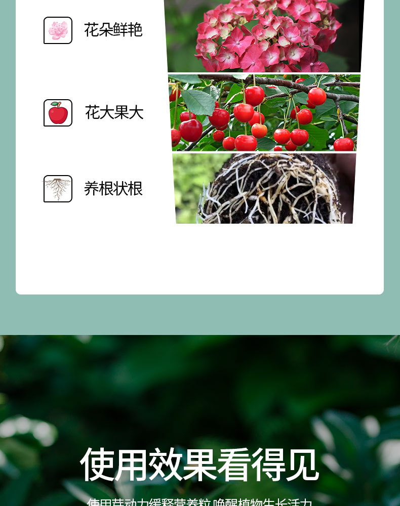 图片[10]-家庭园艺缓释营颗粒肥-喜悦农夫