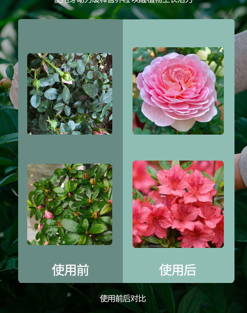 图片[11]-家庭园艺缓释营颗粒肥-喜悦农夫