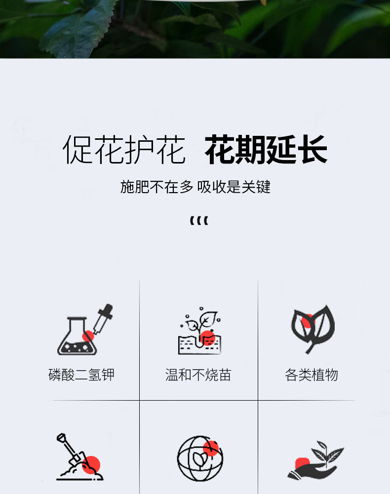 图片[2]-磷酸二氢钾水溶肥-喜悦农夫