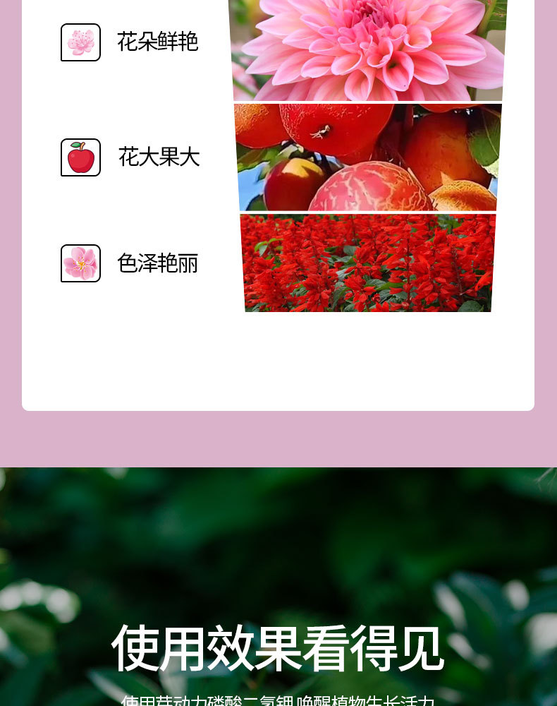 图片[10]-磷酸二氢钾水溶肥-喜悦农夫