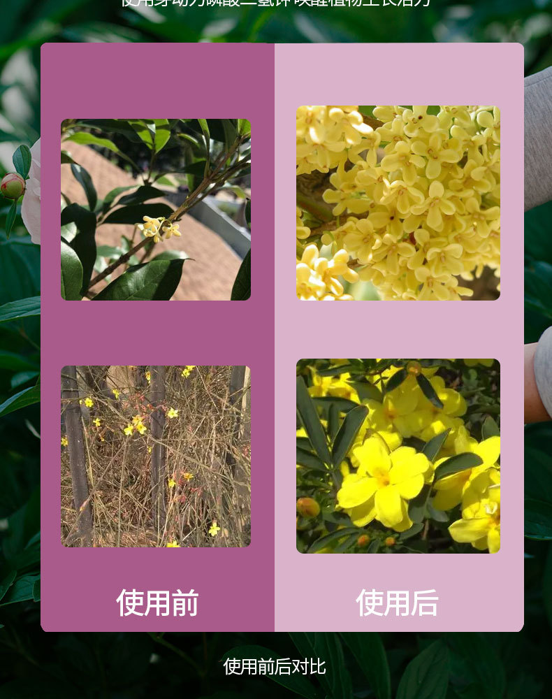 图片[11]-磷酸二氢钾水溶肥-喜悦农夫