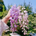 夸克的头像-喜悦农夫