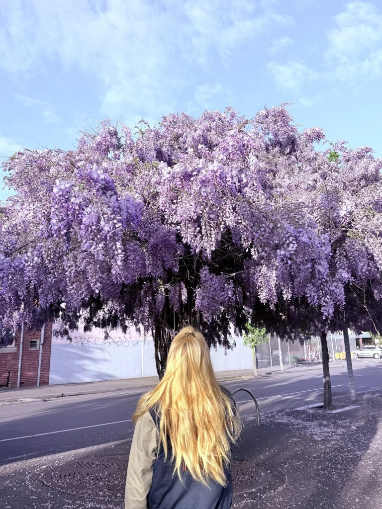 20251010065424288-IMG_1535