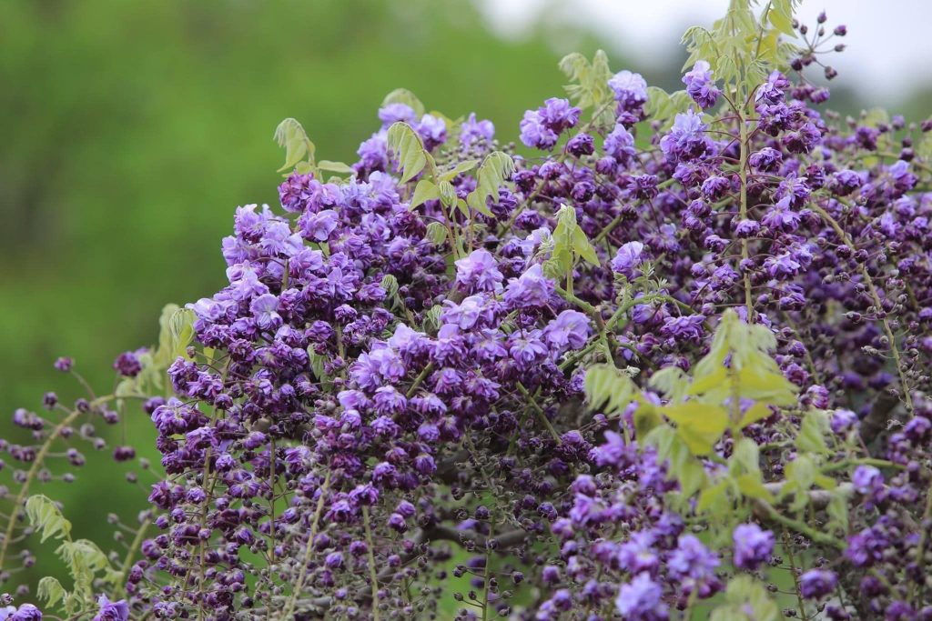 20251010154840660-2022_05_15_08_29_IMG_0152