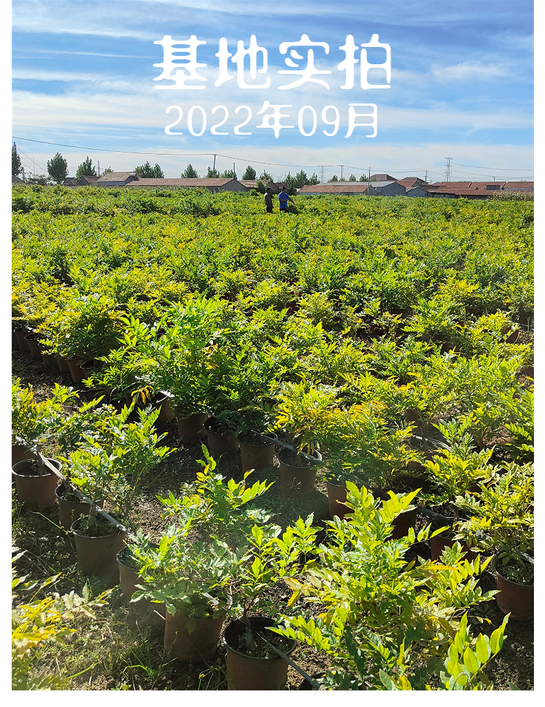 20251011151052999-洁净海域