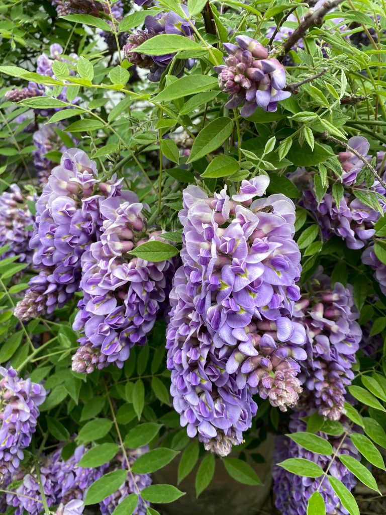 20251012073632221-IMG_1381