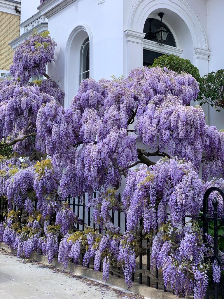 20251012165646216-IMG_1304