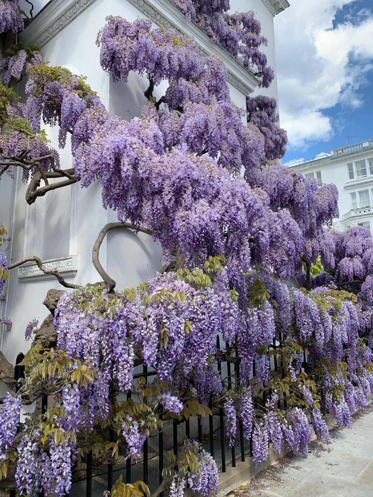 20251012165646365-IMG_1308