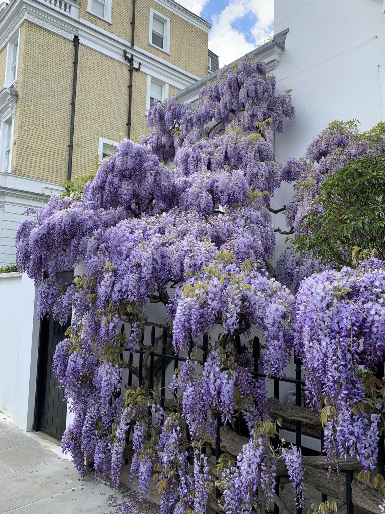 20251012165647306-IMG_1312