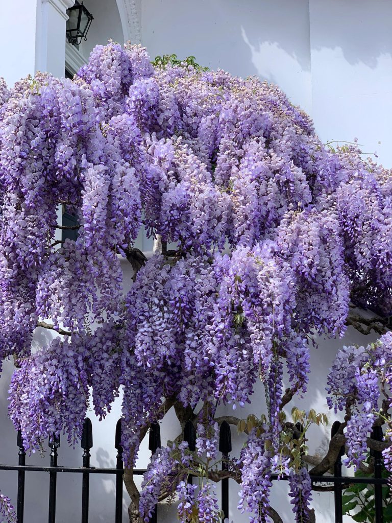 20251012165647950-IMG_1313