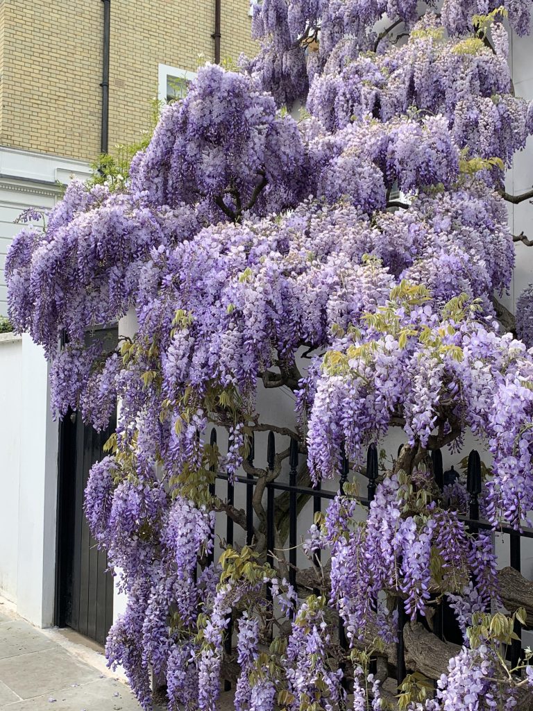 20251012165647962-IMG_1310