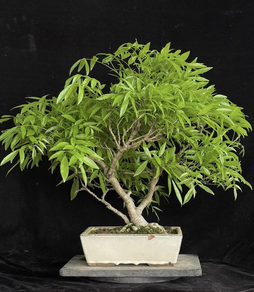 20251012174910651-52615d367c163eb5ad3f94ae5253a430