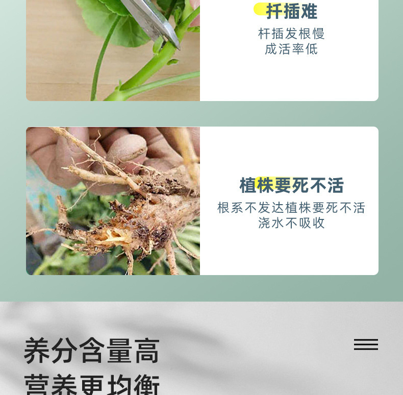 图片[5]-家庭园艺浓缩生根液花卉果树绿植阳台盆栽菜园地栽液体肥料-喜悦农夫