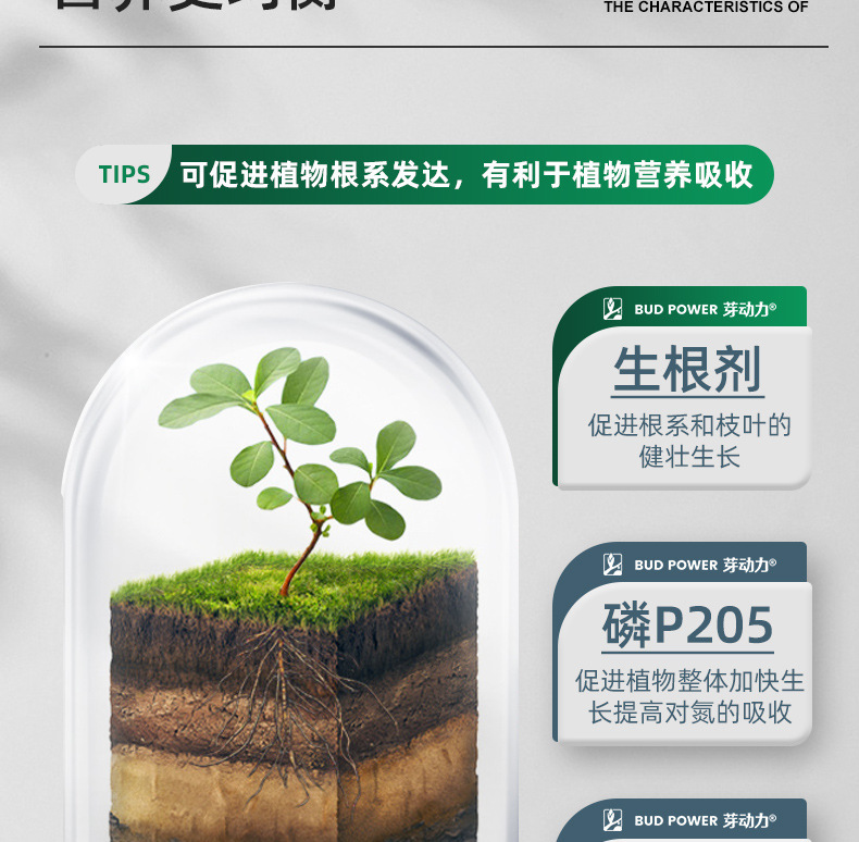 图片[6]-家庭园艺浓缩生根液花卉果树绿植阳台盆栽菜园地栽液体肥料-喜悦农夫