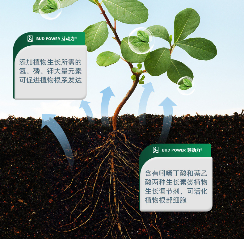 图片[8]-家庭园艺浓缩生根液花卉果树绿植阳台盆栽菜园地栽液体肥料-喜悦农夫