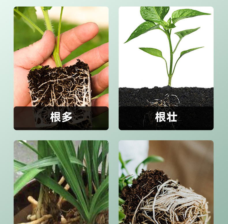 图片[11]-家庭园艺浓缩生根液花卉果树绿植阳台盆栽菜园地栽液体肥料-喜悦农夫