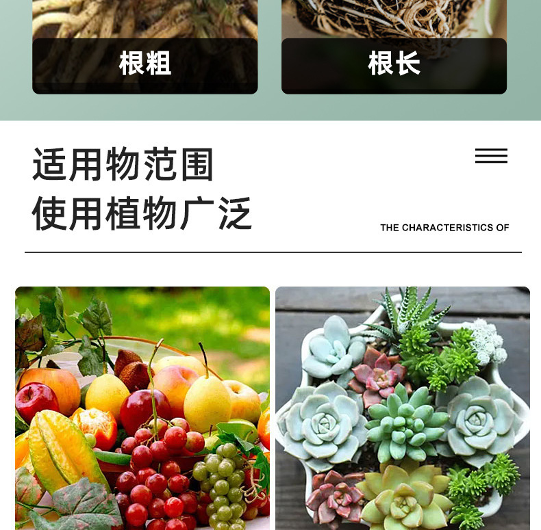 图片[12]-家庭园艺浓缩生根液花卉果树绿植阳台盆栽菜园地栽液体肥料-喜悦农夫