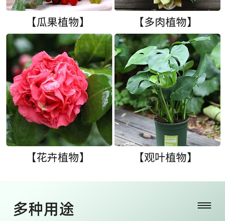 图片[13]-家庭园艺浓缩生根液花卉果树绿植阳台盆栽菜园地栽液体肥料-喜悦农夫