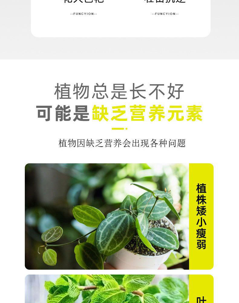 图片[3]-家庭园艺浓缩营养液植物营养液盆栽地栽液体肥料花肥-喜悦农夫