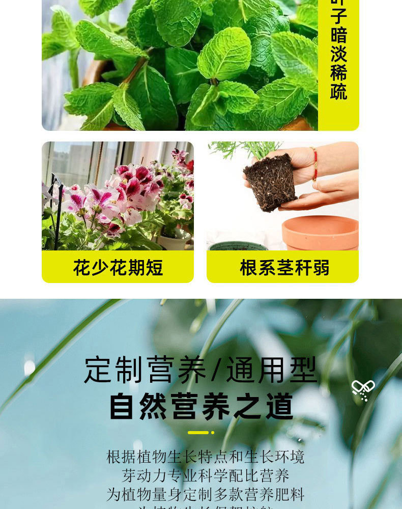图片[4]-家庭园艺浓缩营养液植物营养液盆栽地栽液体肥料花肥-喜悦农夫