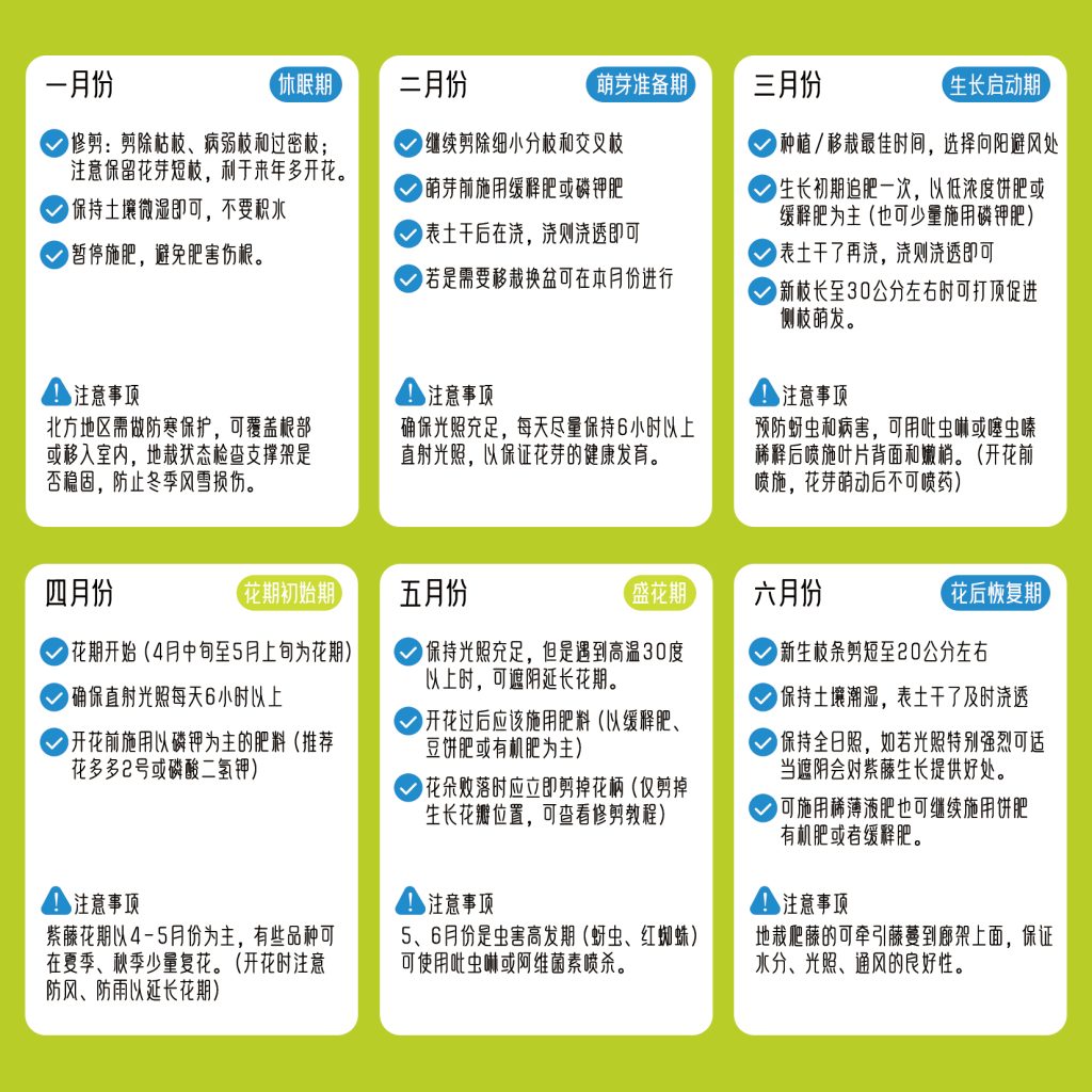 20251015151126320-A5尺寸4折页3