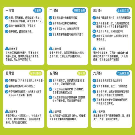 紫藤花1-12月份养护日历-喜悦农夫