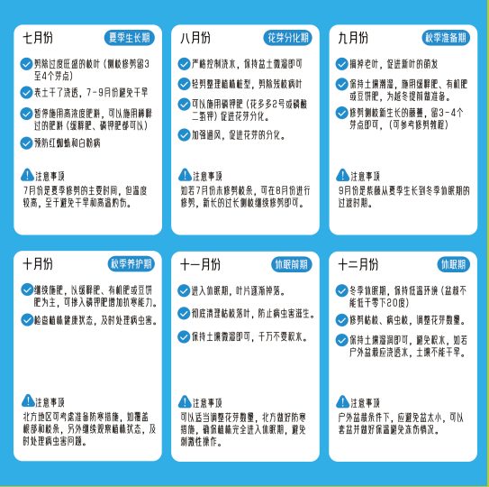 紫藤花1-12月份养护日历-喜悦农夫