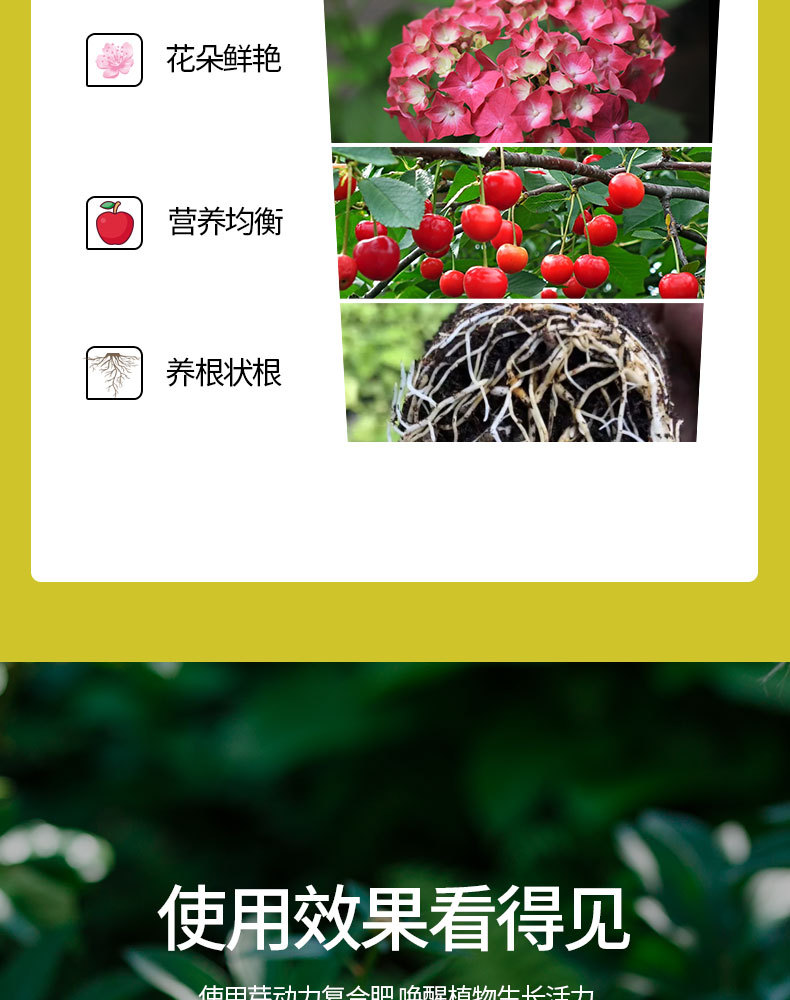 图片[10]-家庭园艺复合肥料花卉果树绿植阳台盆栽小菜园地栽营养肥料-喜悦农夫