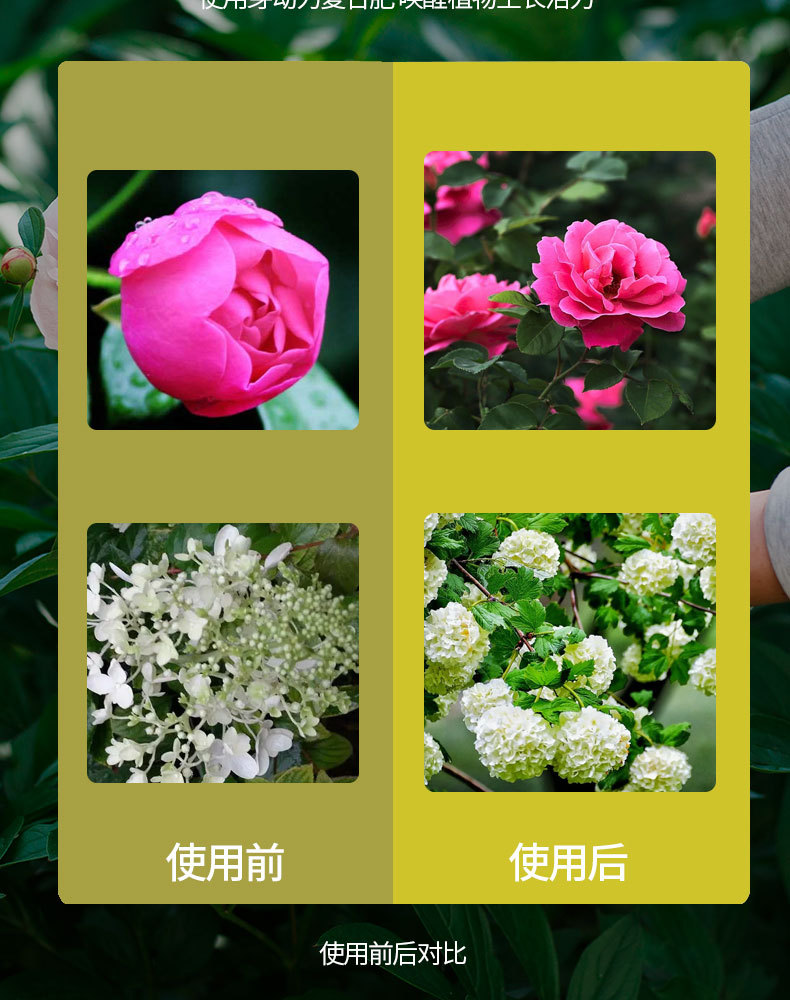 图片[11]-家庭园艺复合肥料花卉果树绿植阳台盆栽小菜园地栽营养肥料-喜悦农夫