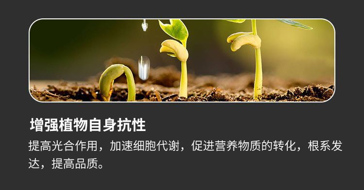 图片[5]-家庭园艺松土精花卉果树绿植阳台盆栽菜园地栽营养肥料花肥-喜悦农夫