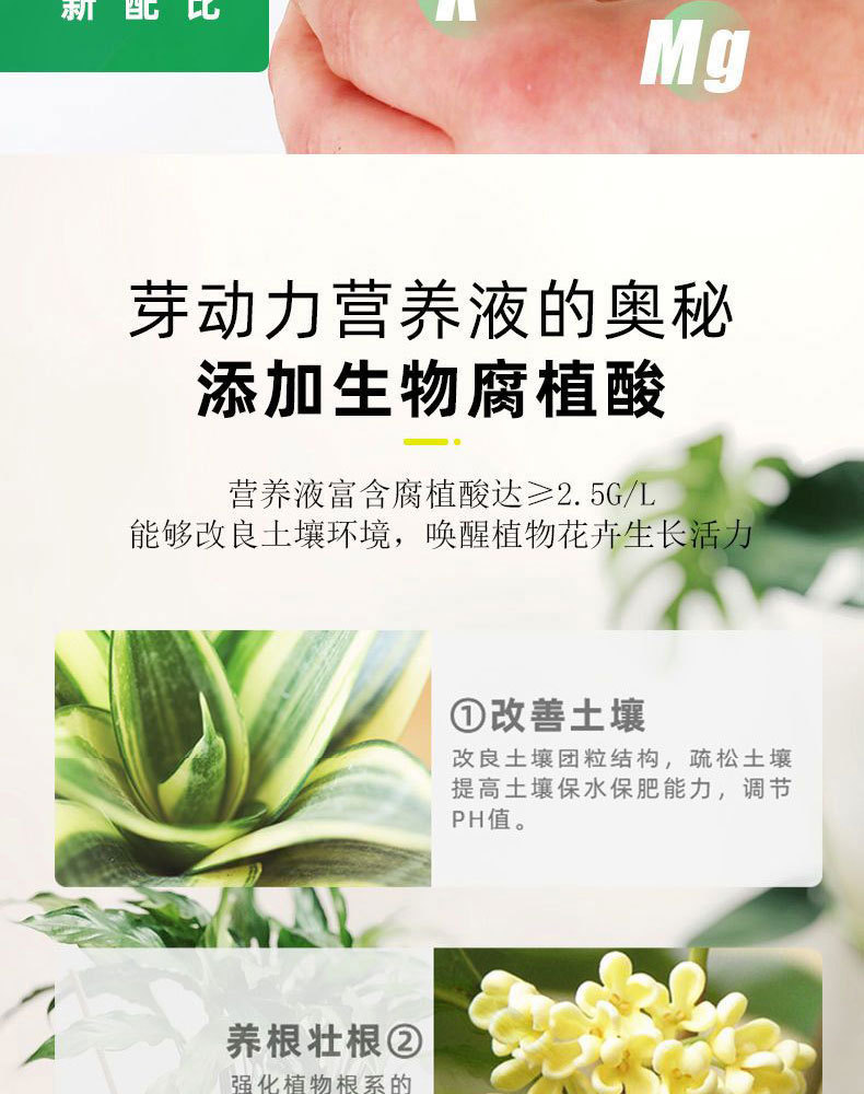 图片[7]-家庭园艺浓缩营养液植物营养液盆栽地栽液体肥料花肥-喜悦农夫