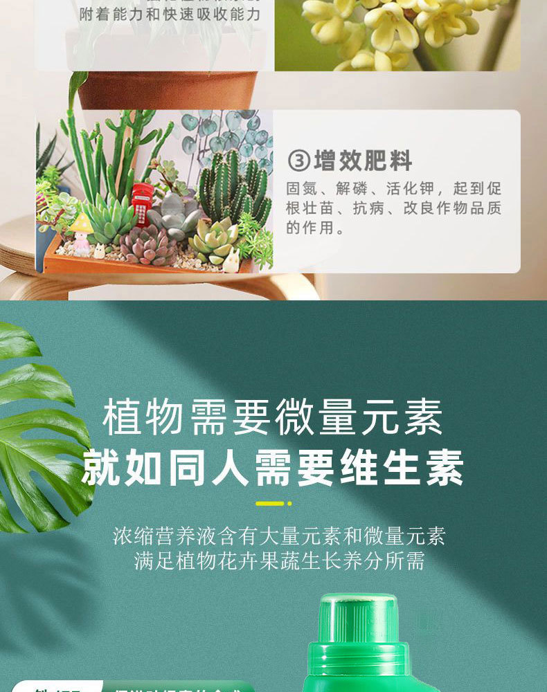 图片[8]-家庭园艺浓缩营养液植物营养液盆栽地栽液体肥料花肥-喜悦农夫