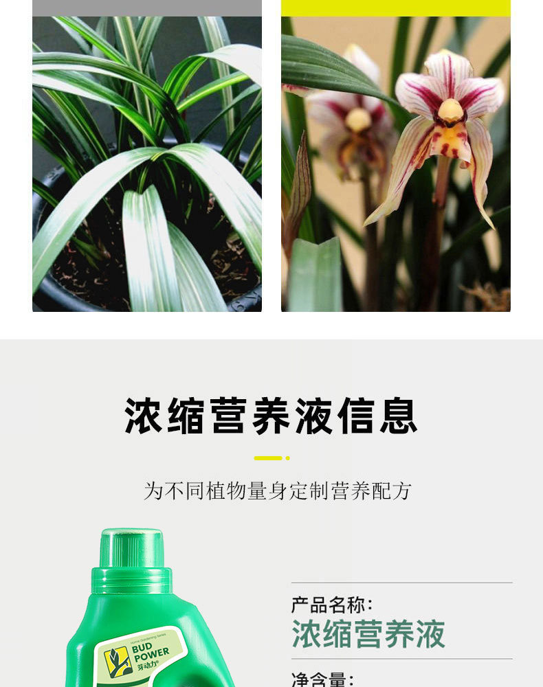 图片[10]-家庭园艺浓缩营养液植物营养液盆栽地栽液体肥料花肥-喜悦农夫