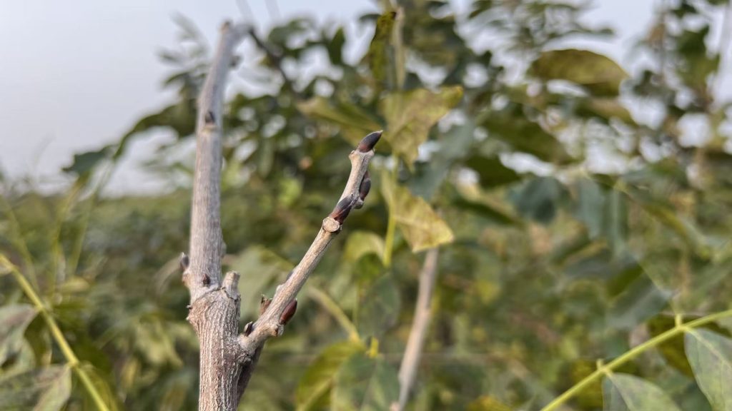 20251026155322517-微信图片_20251026155205_222_3