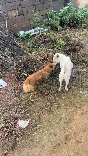 这个闲扯一淡是怎么扯淡的？-喜悦农夫