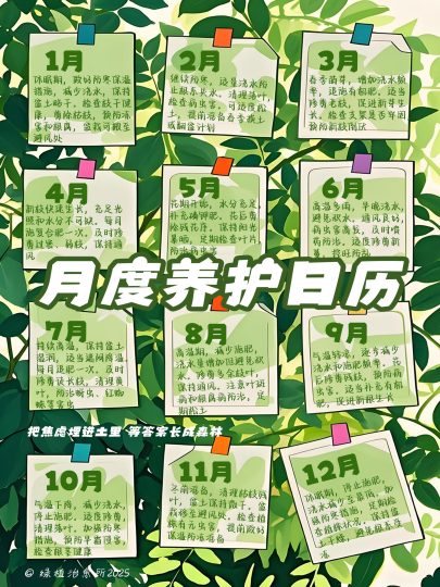 紫藤花养护攻略-喜悦农夫