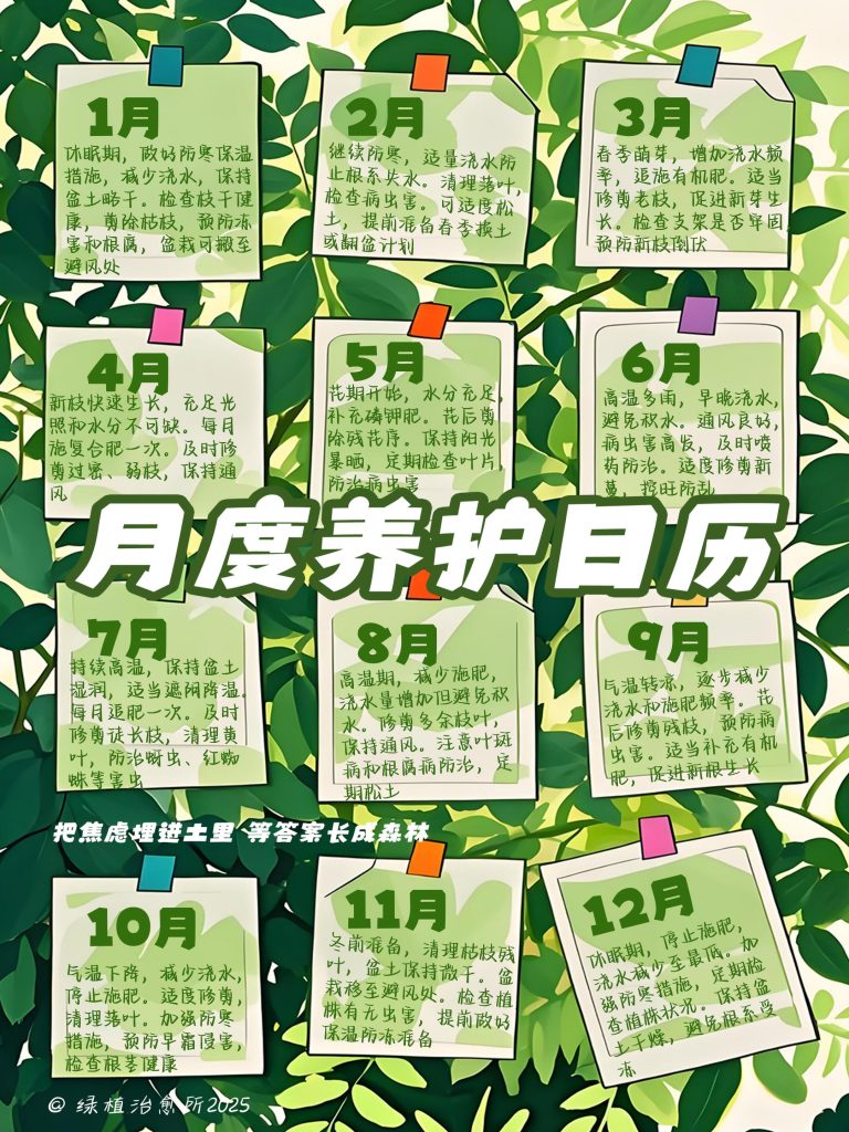 image_紫藤养护全攻略_点缀生活的鲜花话..._3