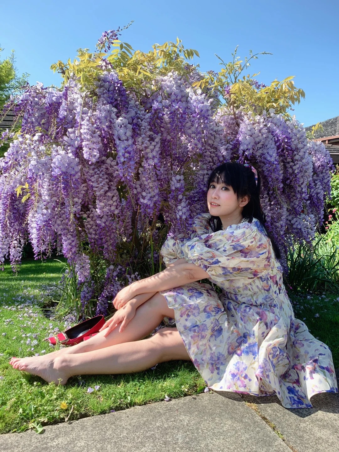 圈子版块分类  养花养草-喜悦农夫