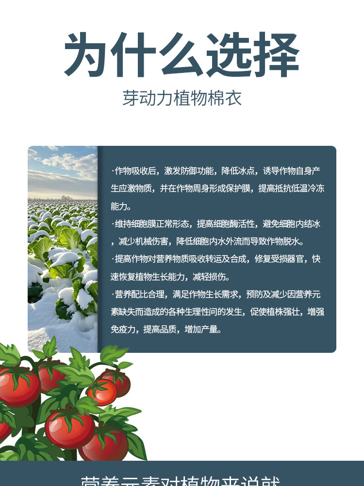 图片[7]-植物棉衣花卉果树绿植盆栽地栽抗冻防寒植株健壮液体肥料-喜悦农夫