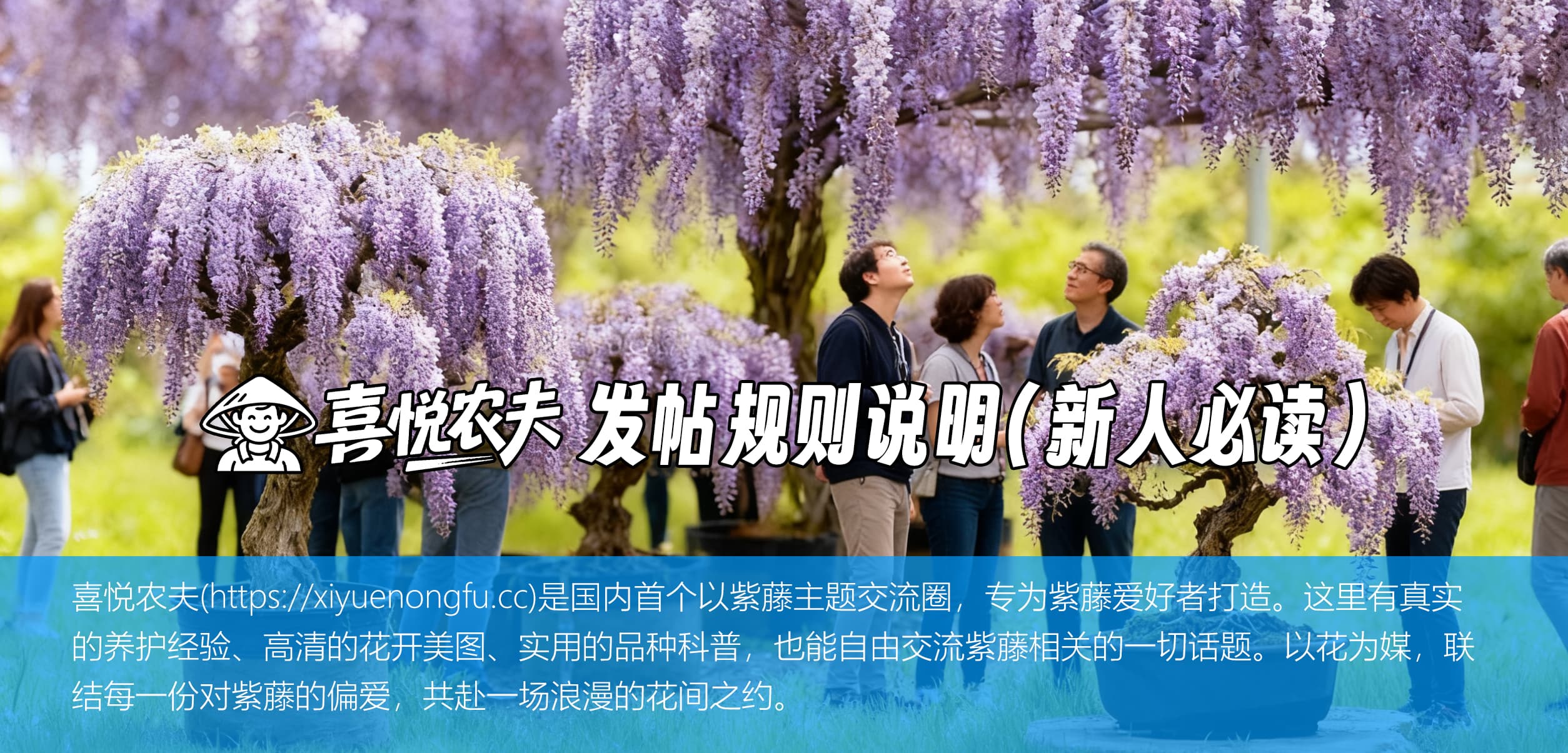 喜悦农夫发帖规则说明(新人必读)-喜悦农夫